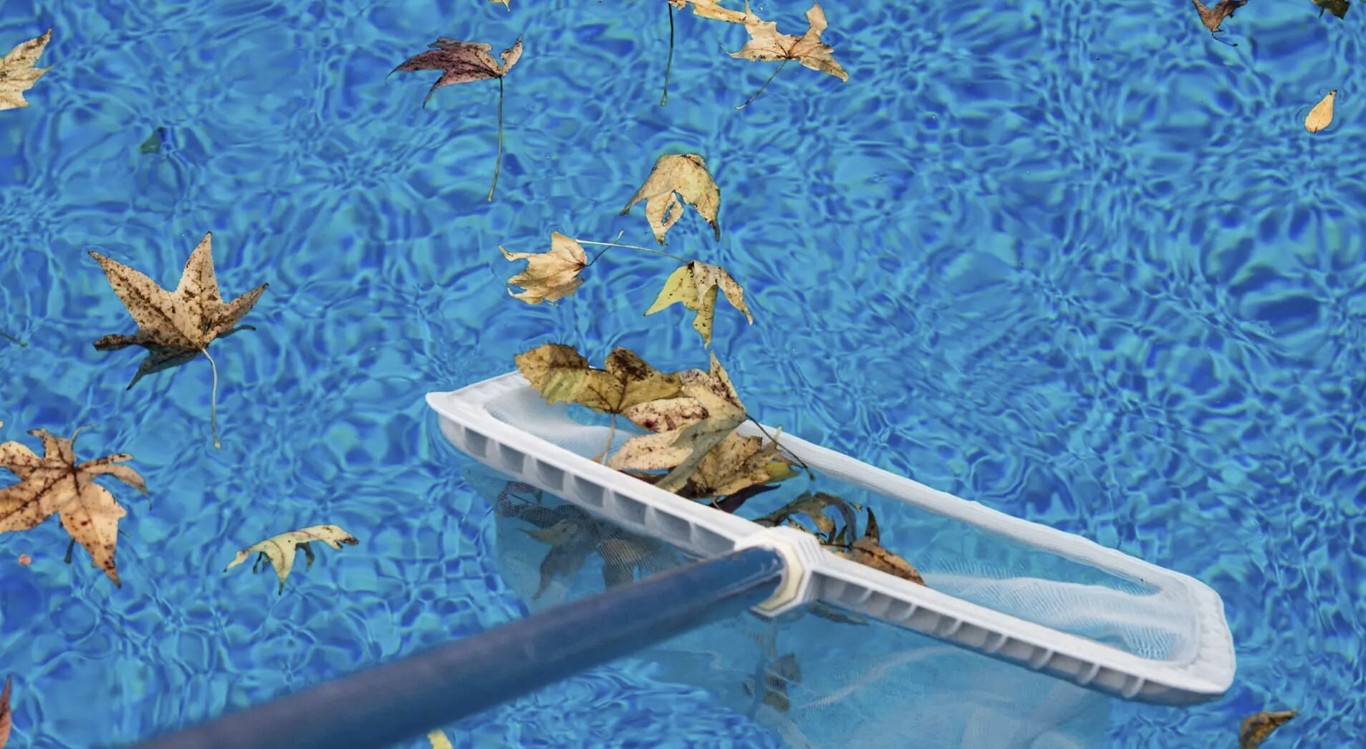 Pool maintenance showing skimmer basket with leaves in Florence-Graham